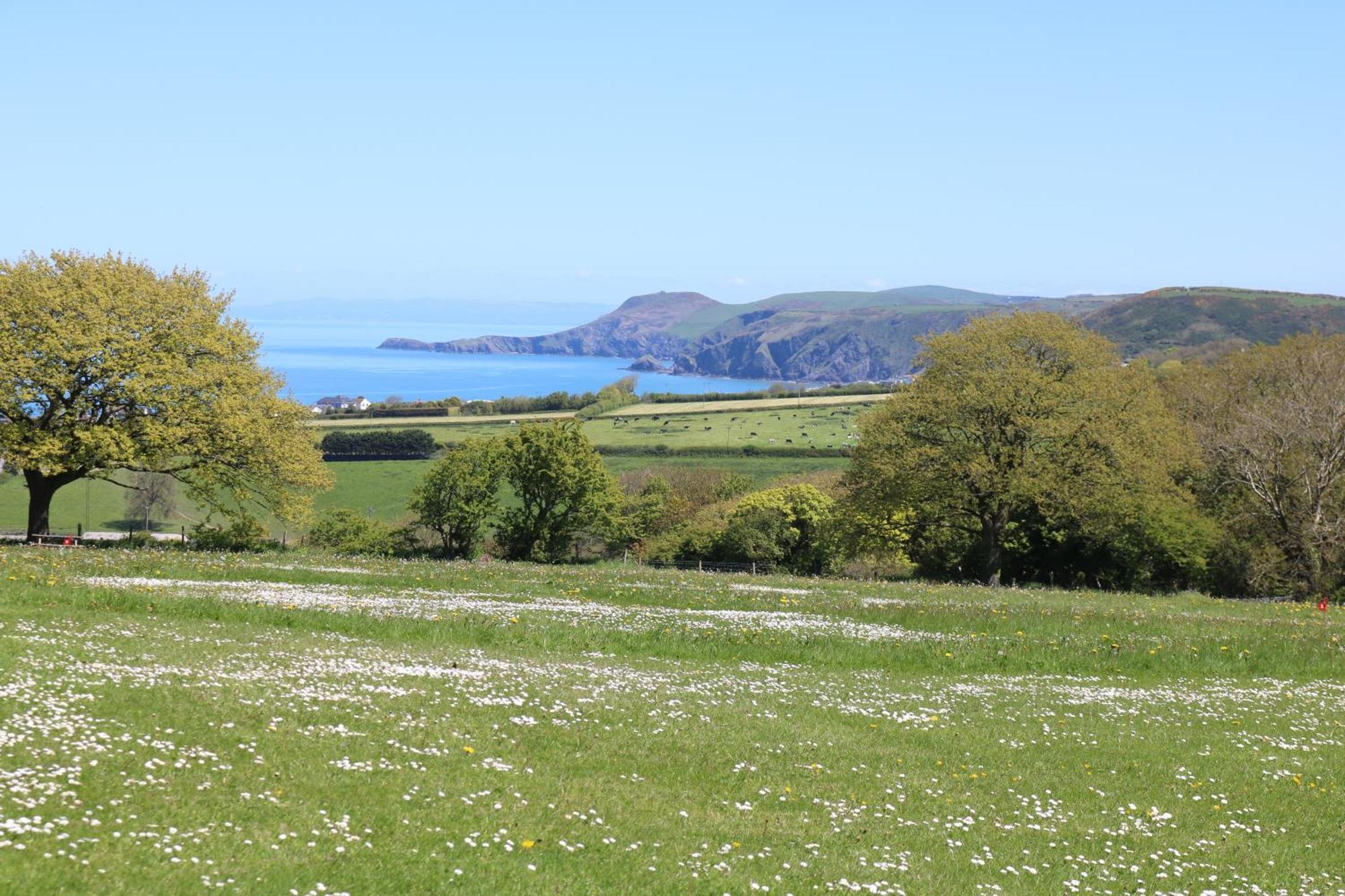 Penlan Coastal Cottages-Millstone アベルポルス エクステリア 写真