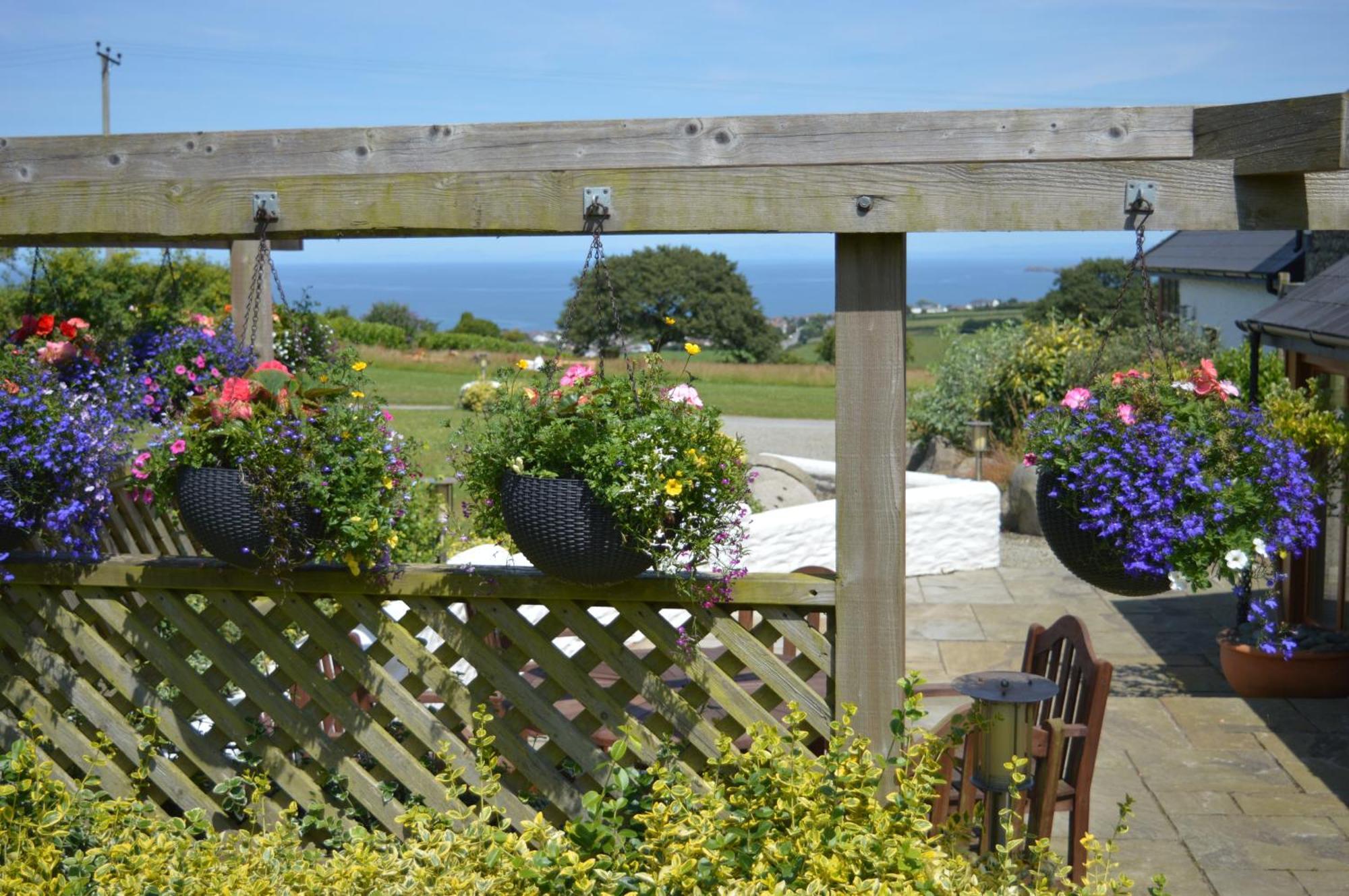 Penlan Coastal Cottages-Millstone アベルポルス エクステリア 写真